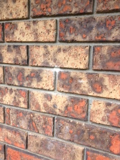 sprayfoam brickwork